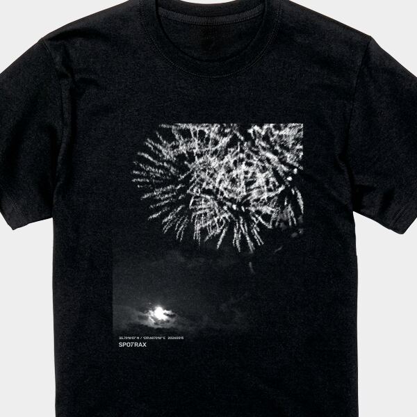 The moon and fireworks