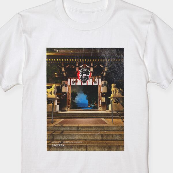Torii Gate Reverie